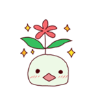 タネちゃん。（個別スタンプ：4）