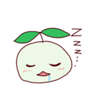 タネちゃん。（個別スタンプ：10）