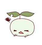 タネちゃん。（個別スタンプ：30）