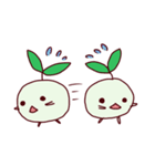 タネちゃん。（個別スタンプ：31）