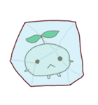 タネちゃん。（個別スタンプ：37）