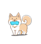 ナマコ~（個別スタンプ：24）
