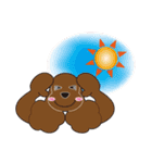 AmericanCockerSpaniel Vol.2（個別スタンプ：13）