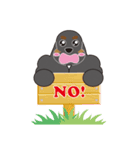 AmericanCockerSpaniel Vol.2（個別スタンプ：16）