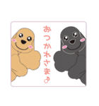 AmericanCockerSpaniel Vol.2（個別スタンプ：17）