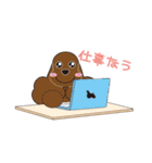 AmericanCockerSpaniel Vol.2（個別スタンプ：21）