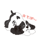 AmericanCockerSpaniel Vol.2（個別スタンプ：25）
