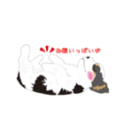 AmericanCockerSpaniel Vol.2（個別スタンプ：26）