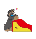 AmericanCockerSpaniel Vol.2（個別スタンプ：33）