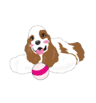 AmericanCockerSpaniel Vol.2（個別スタンプ：38）