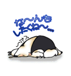 あに丸まにあ～コアリクイ編～（個別スタンプ：6）