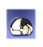 あに丸まにあ～コアリクイ編～（個別スタンプ：12）