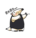 あに丸まにあ～コアリクイ編～（個別スタンプ：13）