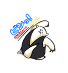 あに丸まにあ～コアリクイ編～（個別スタンプ：19）