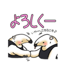 あに丸まにあ～コアリクイ編～（個別スタンプ：26）