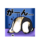 あに丸まにあ～コアリクイ編～（個別スタンプ：28）