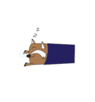 Salim（個別スタンプ：8）