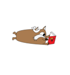 Salim（個別スタンプ：36）