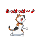 みけねこスタンプ（個別スタンプ：17）
