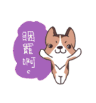 Corgi of OldV（個別スタンプ：2）