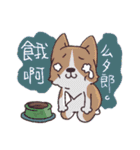 Corgi of OldV（個別スタンプ：4）