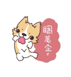 Corgi of OldV（個別スタンプ：5）