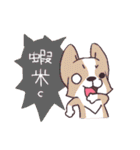 Corgi of OldV（個別スタンプ：7）