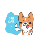Corgi of OldV（個別スタンプ：9）