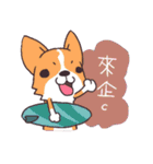 Corgi of OldV（個別スタンプ：11）