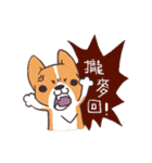 Corgi of OldV（個別スタンプ：12）