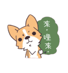 Corgi of OldV（個別スタンプ：13）