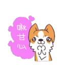 Corgi of OldV（個別スタンプ：16）
