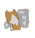 Corgi of OldV（個別スタンプ：20）