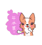 Corgi of OldV（個別スタンプ：23）
