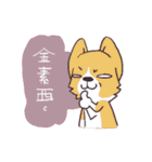 Corgi of OldV（個別スタンプ：27）
