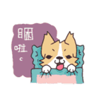 Corgi of OldV（個別スタンプ：31）