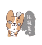 Corgi of OldV（個別スタンプ：35）
