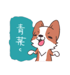 Corgi of OldV（個別スタンプ：38）