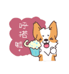 Corgi of OldV（個別スタンプ：40）