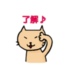 ねこうさけん(日本語版)（個別スタンプ：1）