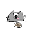 ウォンバット（個別スタンプ：19）