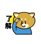 柴犬のキャンパスライフ（個別スタンプ：1）