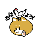 柴犬のキャンパスライフ（個別スタンプ：4）