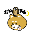 柴犬のキャンパスライフ（個別スタンプ：5）
