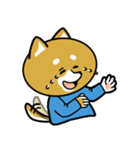 柴犬のキャンパスライフ（個別スタンプ：8）