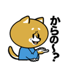 柴犬のキャンパスライフ（個別スタンプ：11）