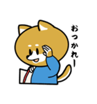 柴犬のキャンパスライフ（個別スタンプ：18）