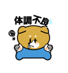 柴犬のキャンパスライフ（個別スタンプ：20）