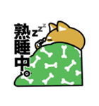 柴犬のキャンパスライフ（個別スタンプ：27）