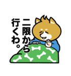 柴犬のキャンパスライフ（個別スタンプ：30）